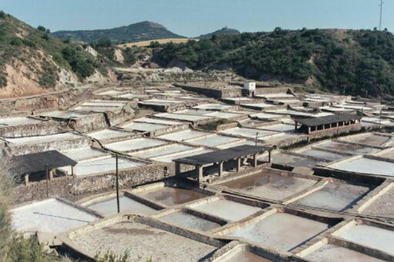 Casa Del Bueno Διαμέρισμα Peralta de la Sal Εξωτερικό φωτογραφία